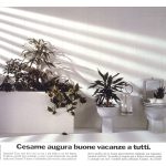Vasi di piante dentro ai sanitari e nella vasca da bagno. Titolo: Cesame augura buone vacanze a tutti.
