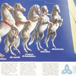 Un domatore davanti a cinque cavalli bianchi. Titolo: Dai telefoni alle centrali ai sistemi di trasmissione alla telematica, all'elettronica. Signori questa è Italtel