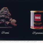 A sinistra bonsai. A destra barattolo di caffé Illy. titolo: 125 anni. 125 grammi.